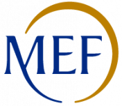 https://revisionelegale.rgs.mef.gov.it/area-pubblica/